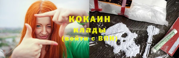стаф Богородск
