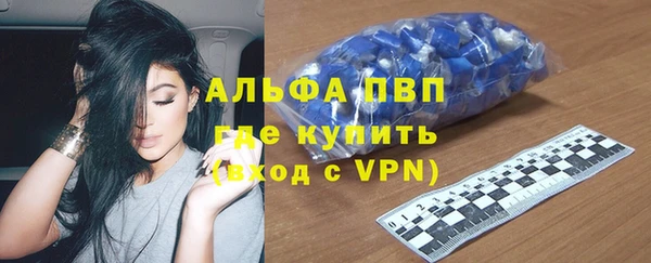 стаф Богородск