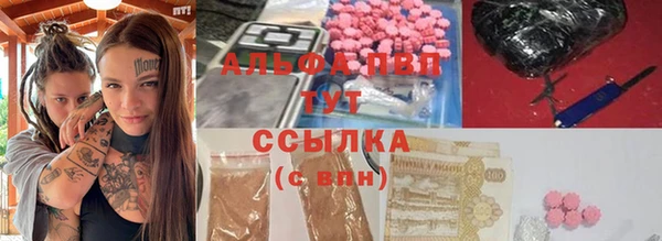 стаф Богородск