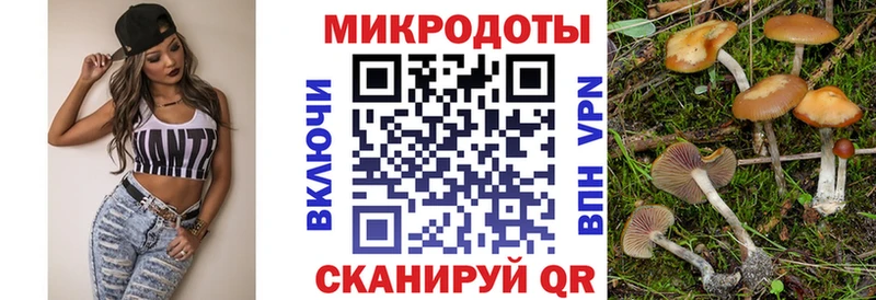mega как войти  Няндома  Галлюциногенные грибы Magic Shrooms  купить наркотик 